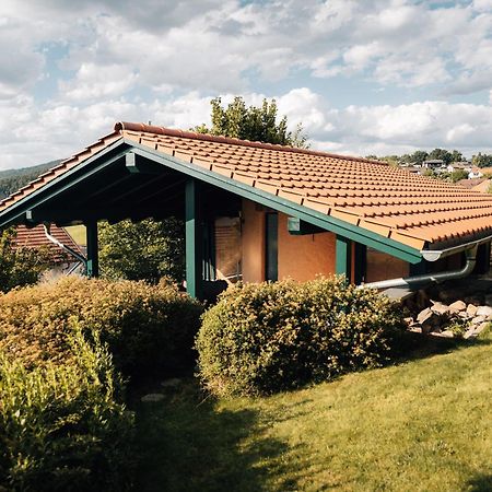 Holiday Home With Whirlpool And Sauna In Viechtach Exterior photo